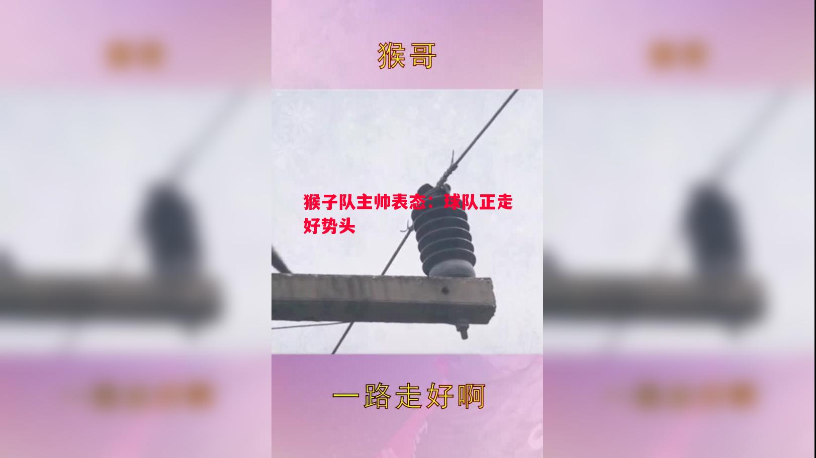 猴子队主帅表态：球队正走好势头